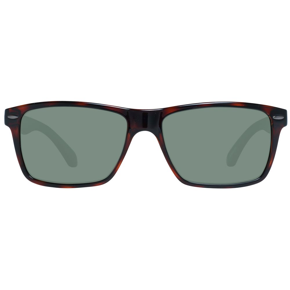 Ted baker brown men sunglasses